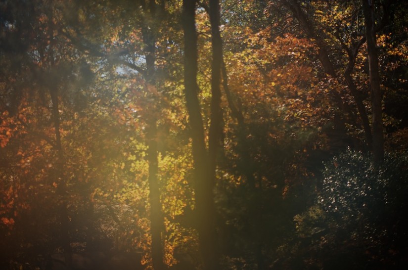 365 305b 1976 postcard 20121028©JamesECockroft