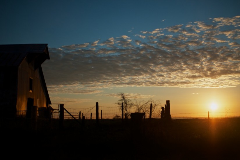 365 306a Golden Hour on the Arkansas Farm 20121029©JamesECockroft