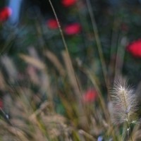 365.290 Panic at the Worldwide Photo Walk 20121013©JamesECockroft