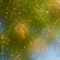 Amazingly Risky 20121020©JamesECockroft