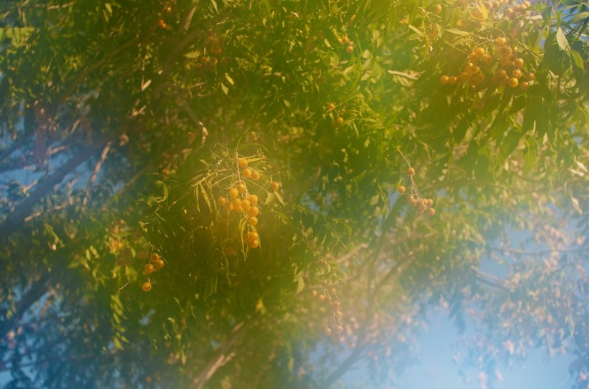 Amazingly Risky 20121020©JamesECockroft