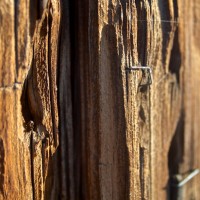 1wooden 20121103©JamesECockroft