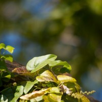 365 312a outtake at 4 5 20121104©JamesECockroft