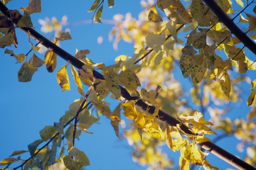 365 313a what a difference an hour makes 20121105©JamesECockroft