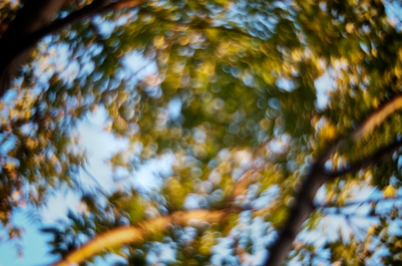 365 317 Serenity NOW 2 20121109©JamesECockroft