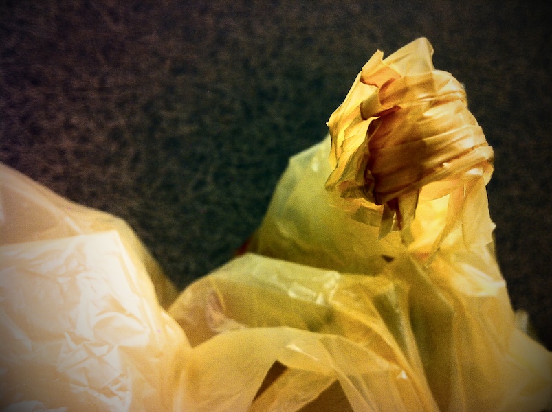 365 322 the iPhone succeeded where I failed 20121114©JamesECockroft