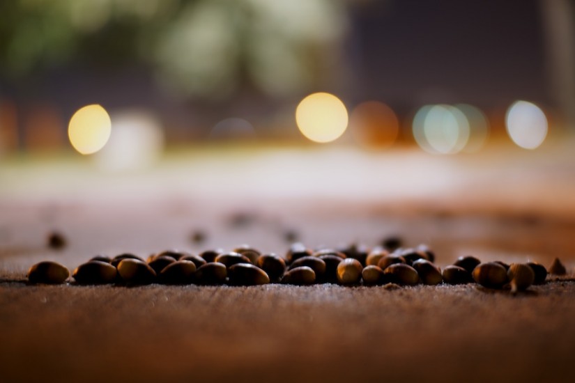 365 323 Ohne Titel 20121115©JamesECockroft