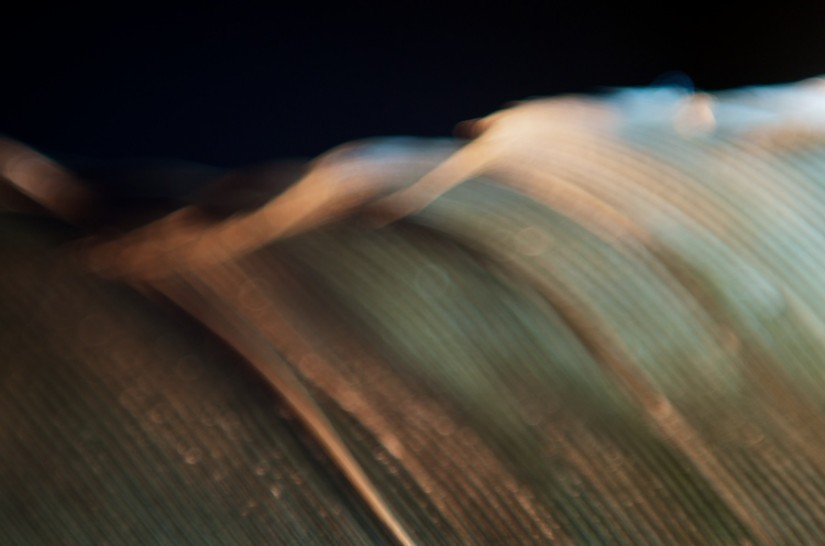 365 327 circles lines 20121119©JamesECockroft