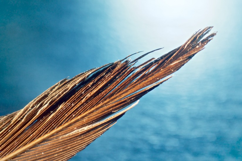 365 331b Icarus 20121123©JamesECockroft