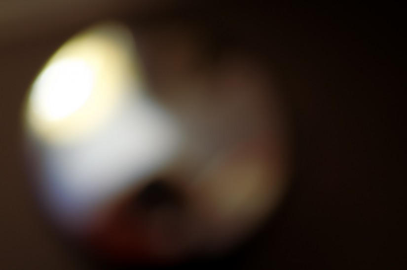 365 332 the caterwaul 20121124©JamesECockroft