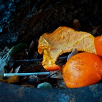 3TMMH 20121103©JamesECockroft