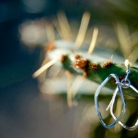 6CCTC 20121103©JamesECockroft