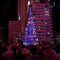 the tree 20121117©JamesECockroft