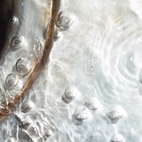 365 342 same river 10 20121204©JamesECockroft