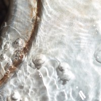 365 342 same river 11 20121204©JamesECockroft