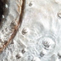 365 342 same river 2 20121204©JamesECockroft