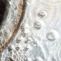 365 342 same river 3 20121204©JamesECockroft