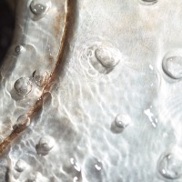 365 342 same river 6 20121204©JamesECockroft