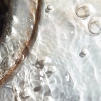 365 342 same river 9 20121204©JamesECockroft