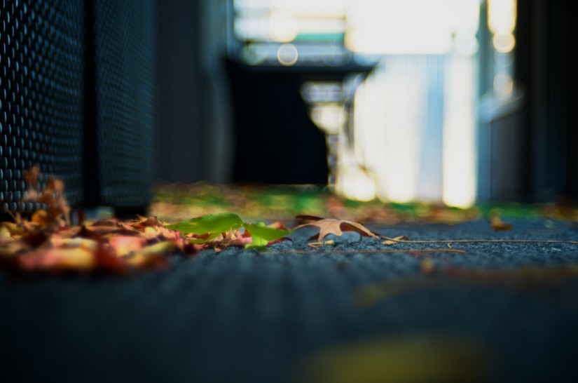 365 348a ugly bokeh an attempt 20121210©JamesECockroft