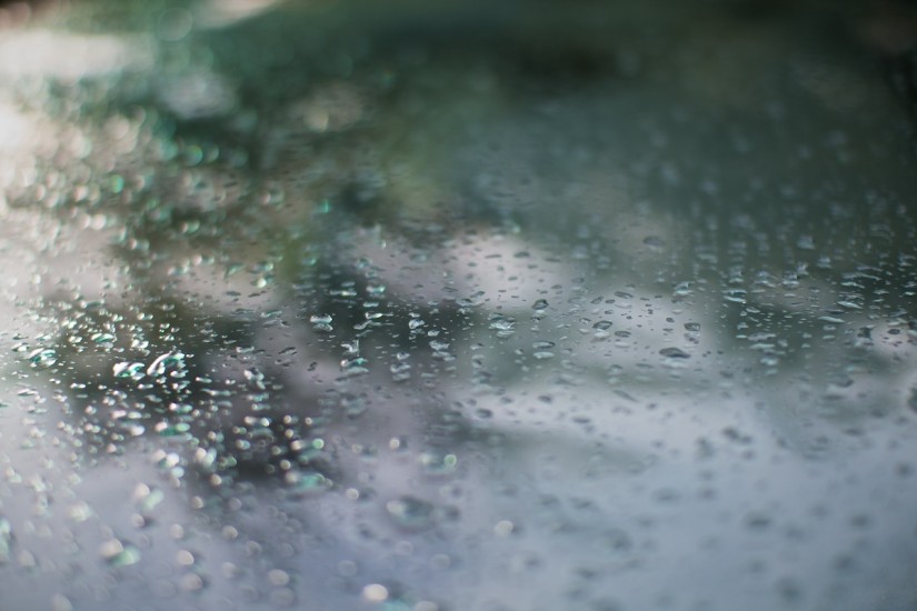 365 352a a very welcome PITA 20121214©JamesECockroft