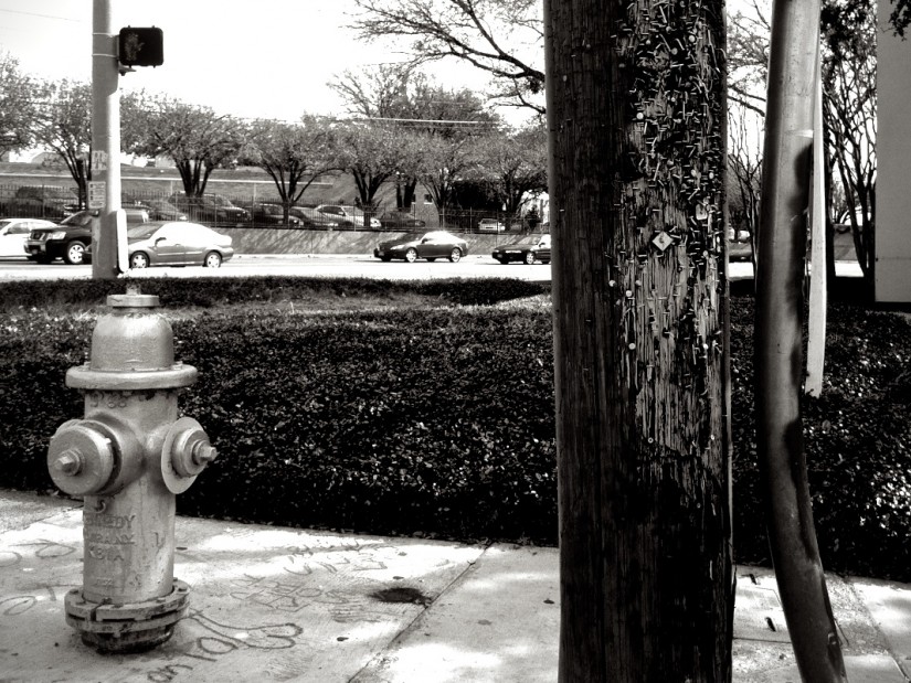 365 353 a popular spot 20121215©JamesECockroft