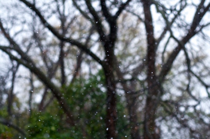 365 363 need practice 20121225©JamesECockroft