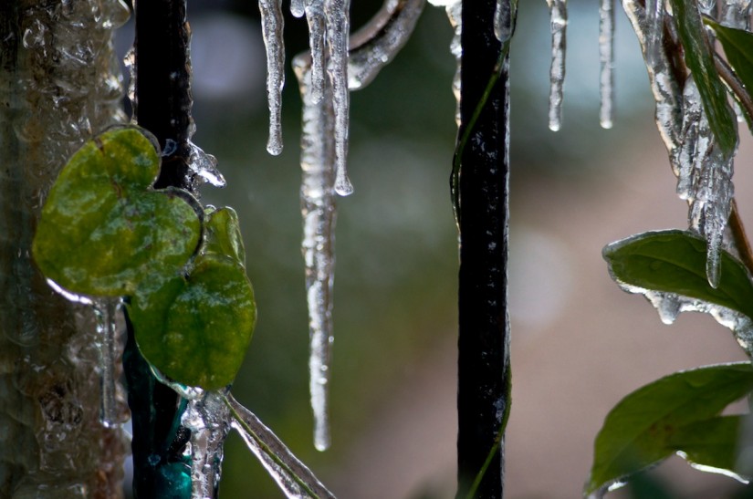 365 364 Ohne Titel 20121226©JamesECockroft