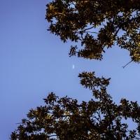 7 52 322©JamesECockroft 20130116