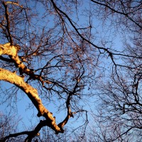 7 52 324 2©JamesECockroft 20130118