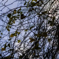 7 52 331©JamesECockroft 20130119