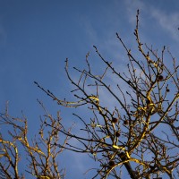 7 52 354©JamesECockroft 20130119