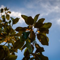 7 52 355©JamesECockroft 20130119