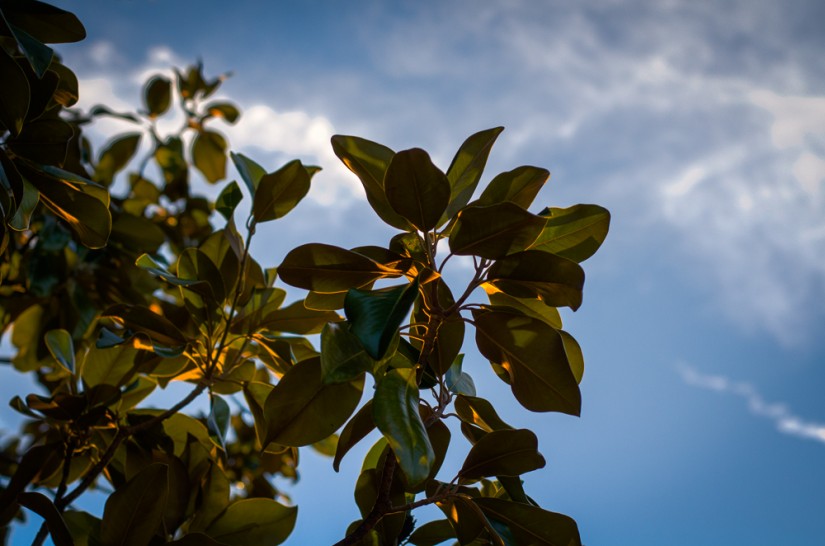 7 52 355©JamesECockroft 20130119