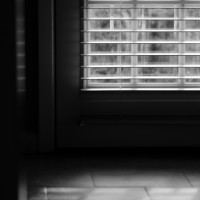 7 522 kitchen door and floor early afternoon©JamesECockroft 20130102