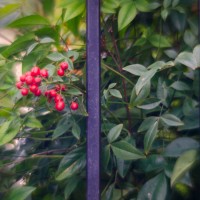 7 5220©JamesECockroft 20130110 Edit