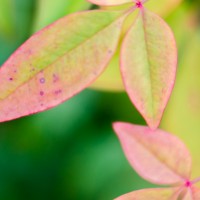 7 5224©JamesECockroft 20130110