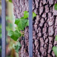 7 5237©JamesECockroft 20130110