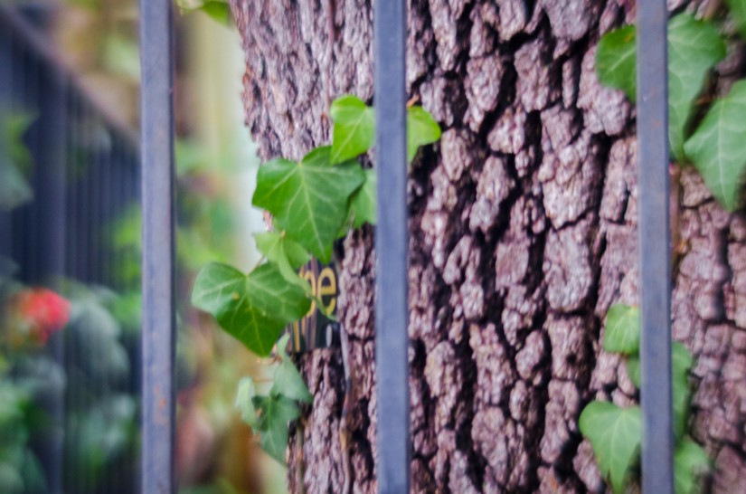 7 5237©JamesECockroft 20130110