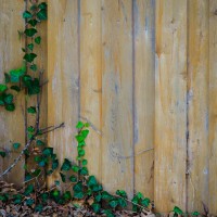 7 526©JamesECockroft 20130107 Edit