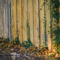 7 529©JamesECockroft 20130107 Edit