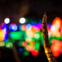 Chinese Lantern Festival145 piercing©JamesECockroft 20130104