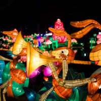 Chinese Lantern Festival151 march of the gleeful ants©JamesECockroft 20130104