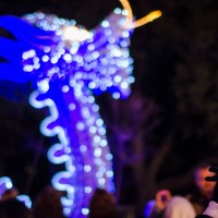 Chinese Lantern Festival52 Shooting the Dragon©JamesECockroft 20130104