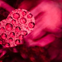 McKinney Scavenger Hunt33©JamesECockroft 20130126