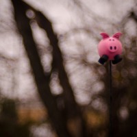 McKinney Scavenger Hunt85©JamesECockroft 20130126