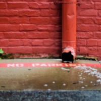 McKinney Scavenger Hunt8©JamesECockroft 20130126