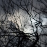 7 52 5 Zomb E Week10©JamesECockroft 20130129