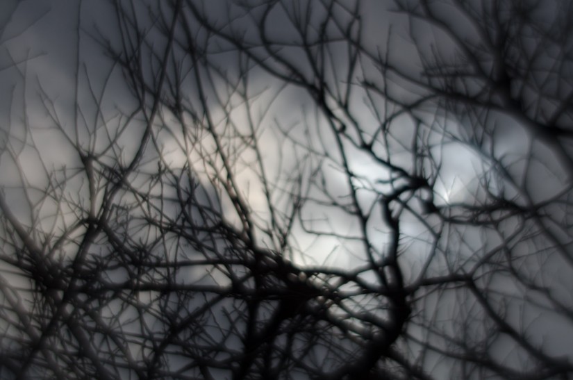 7 52 5 Zomb E Week10©JamesECockroft 20130129