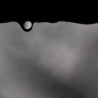 7 52 5 Zomb E Week38©JamesECockroft 20130129